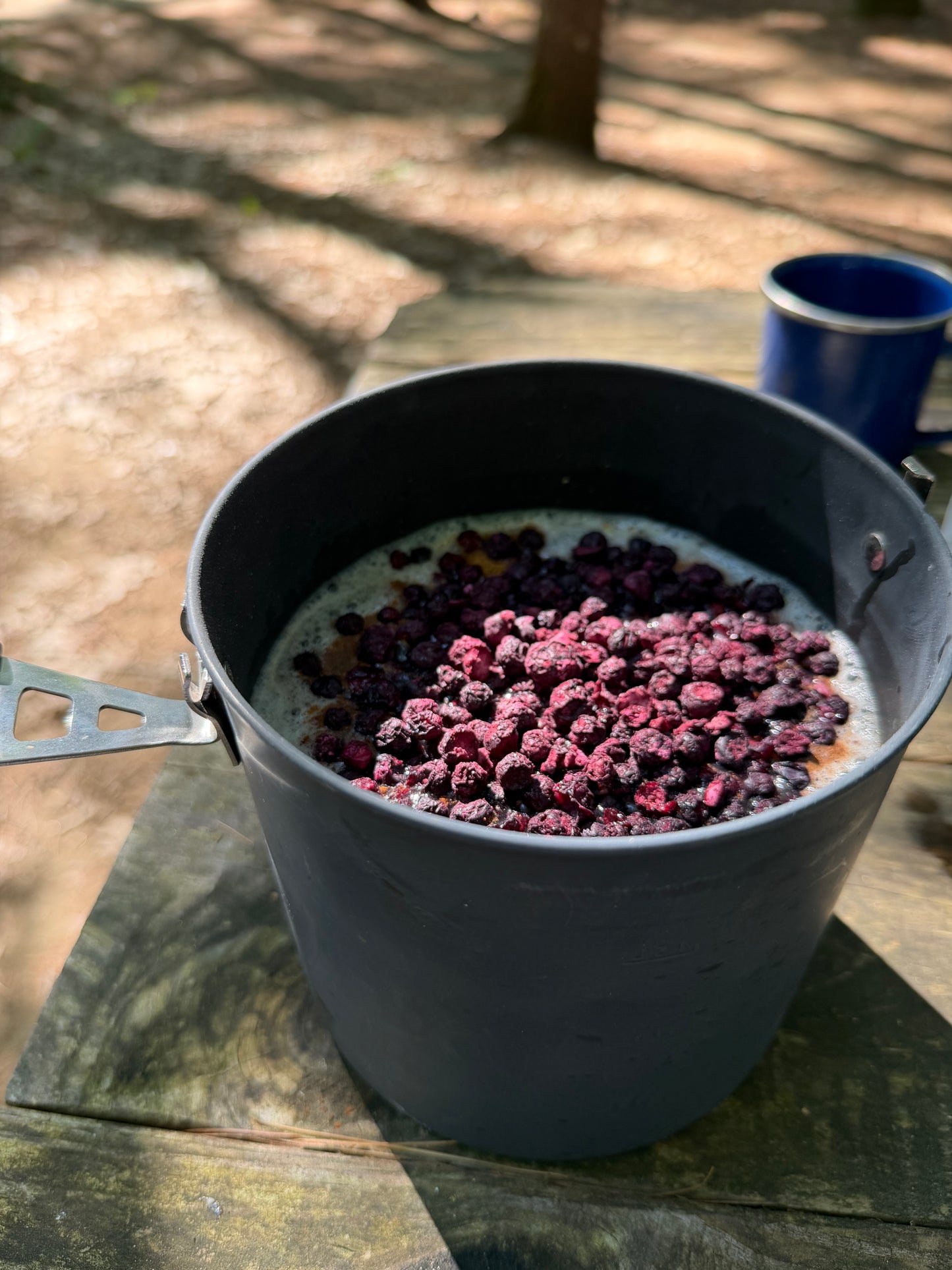 Brown Sugar Blueberry Oats