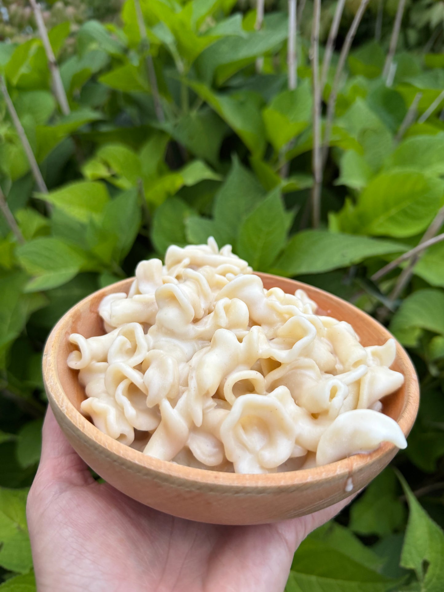 Mac n' Cheese