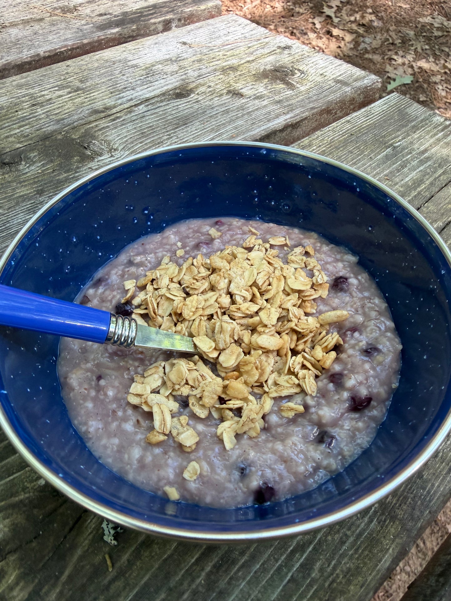 Brown Sugar Blueberry Oats